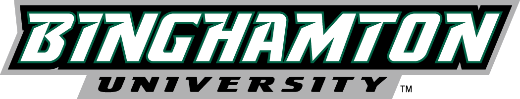 Binghamton Bearcats 2001-Pres Wordmark Logo v2 iron on transfers for clothing